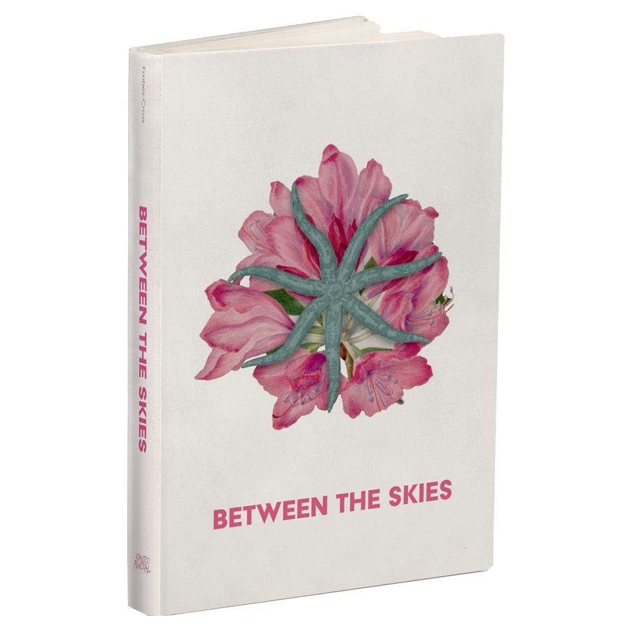Between the Skies: Collected Edition box art