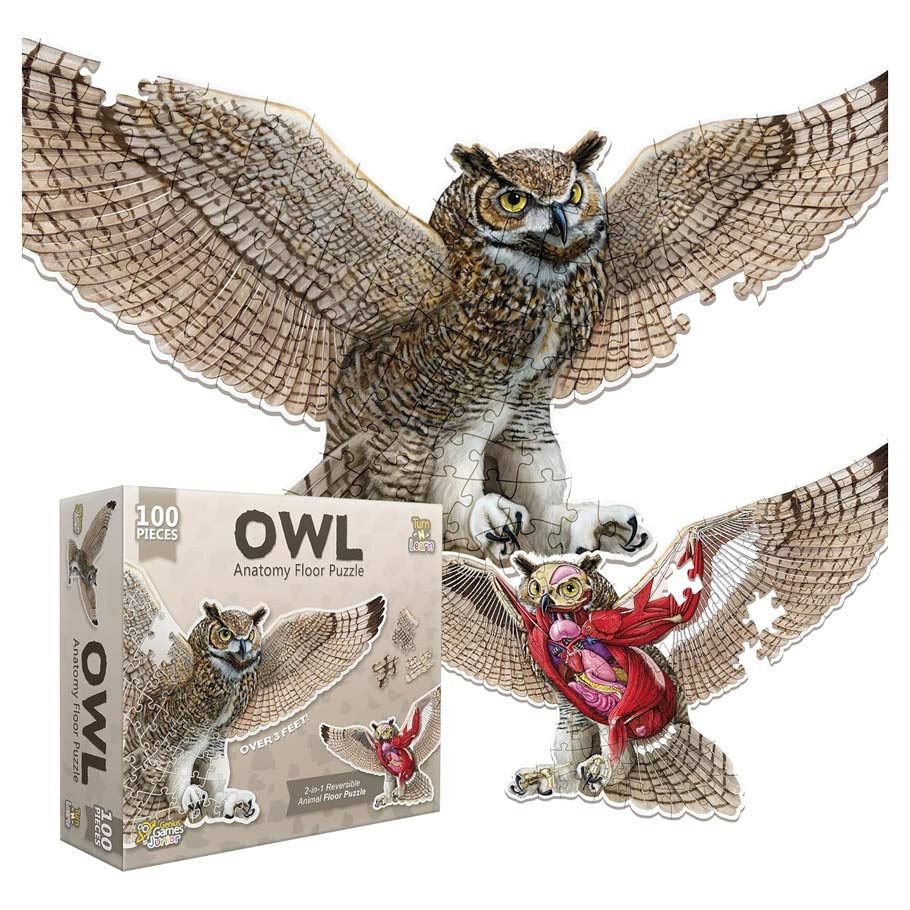 Puzzle: AA: Floor Puzzle: Owl 100pc box art