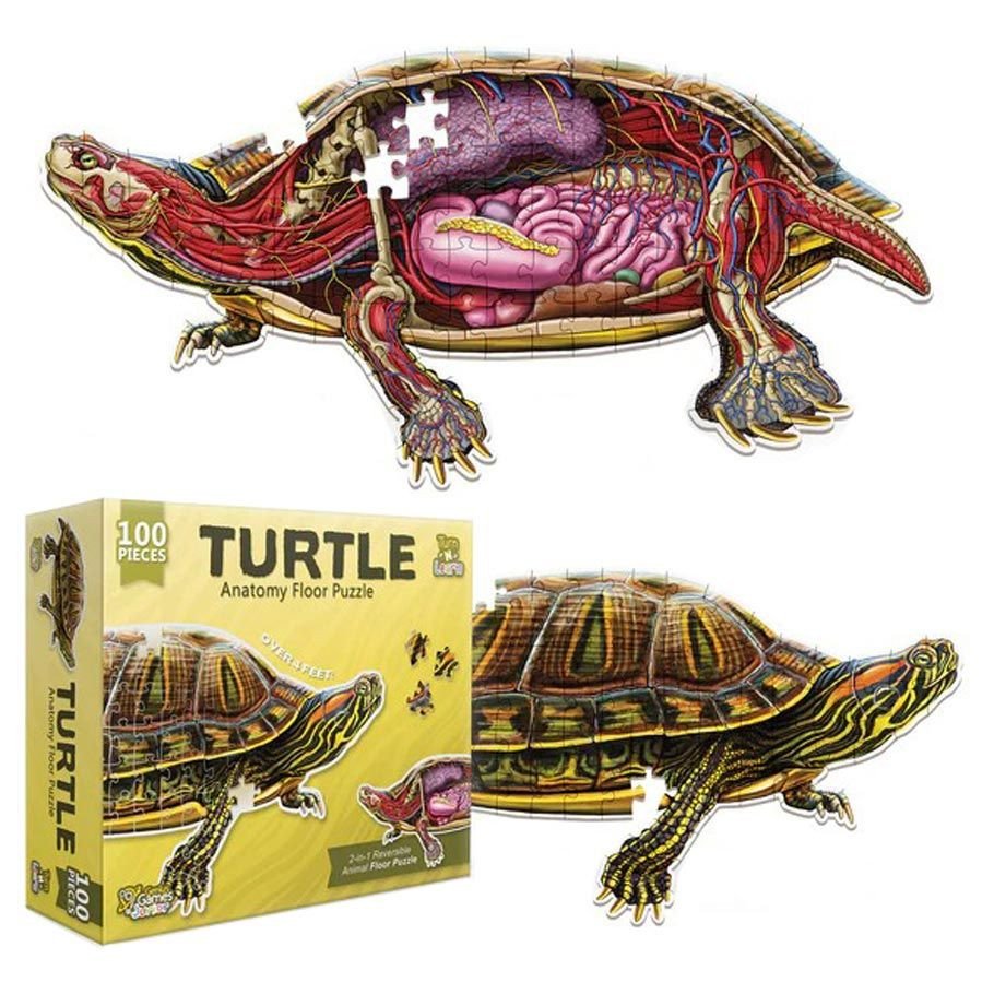 Puzzle: Turn N Learn: Turtle 100pc box art