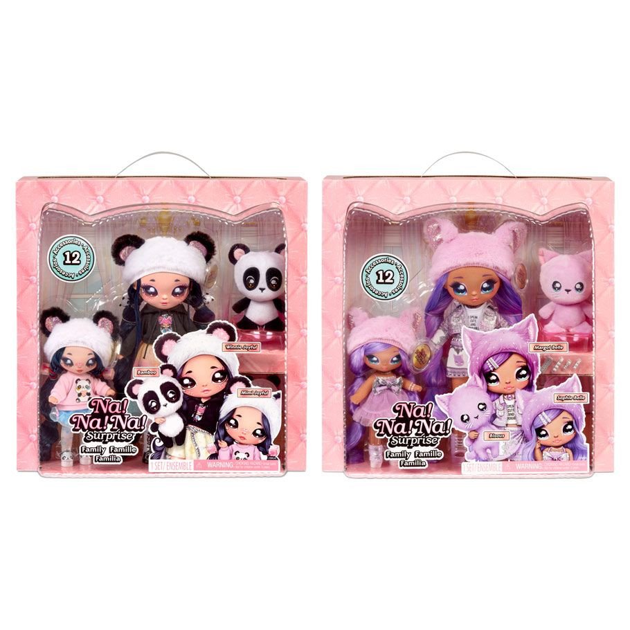 NNNS: Family Ast (2) box art