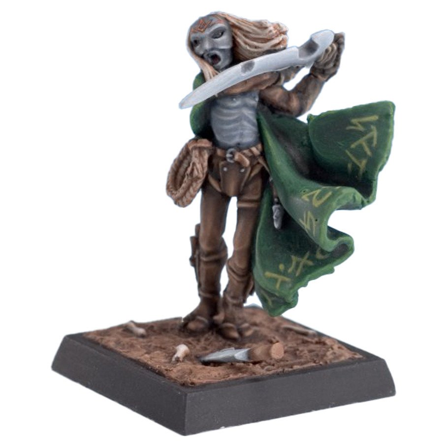 Legends: Dark Elf Assassin box art