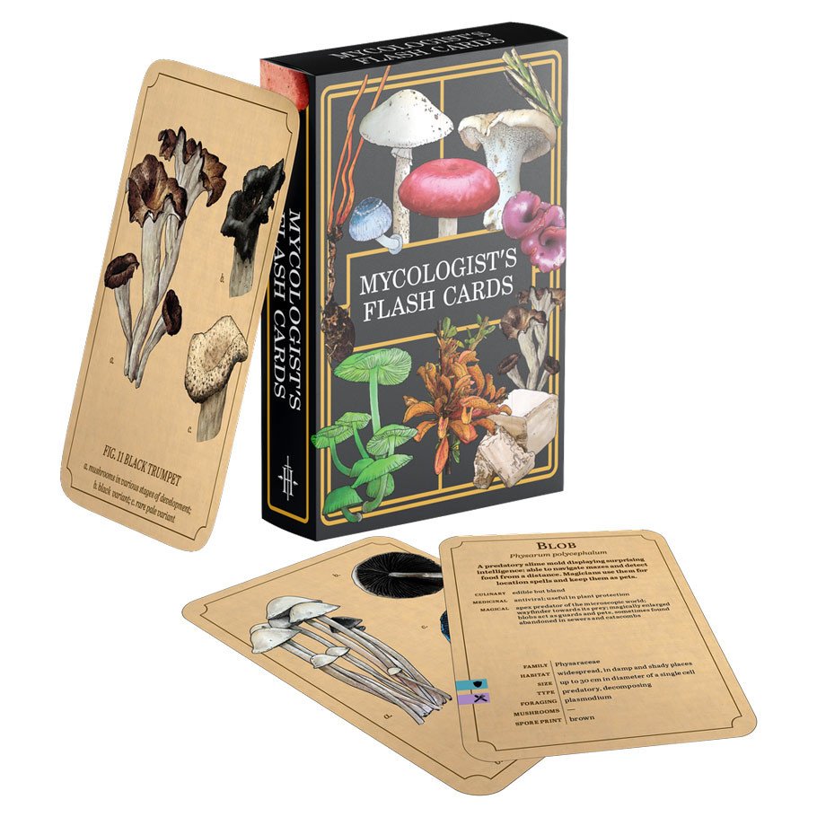 Mycologist's Primer: Flash Cards box art