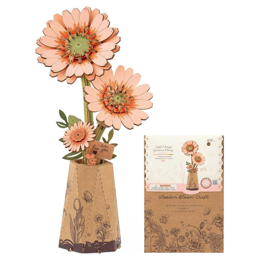 Orange Gerbera Daisy box art